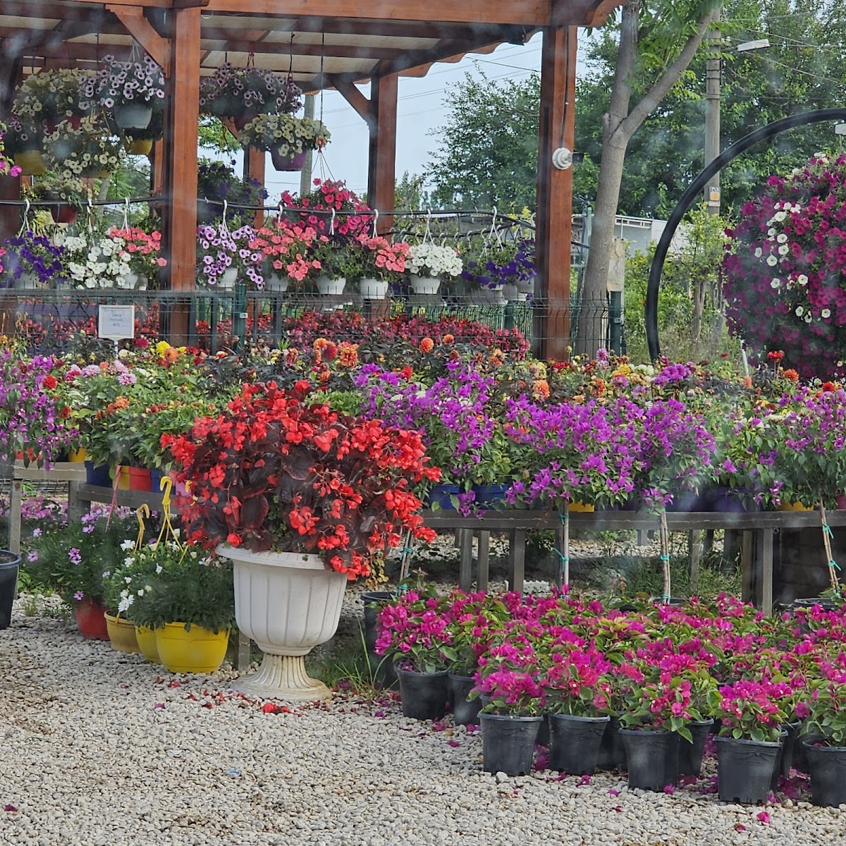 Eflatun Peyzaj Mağaza fotoğrafı 7